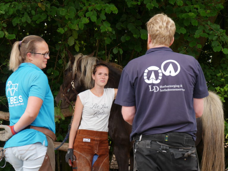Opleidingen hoef
