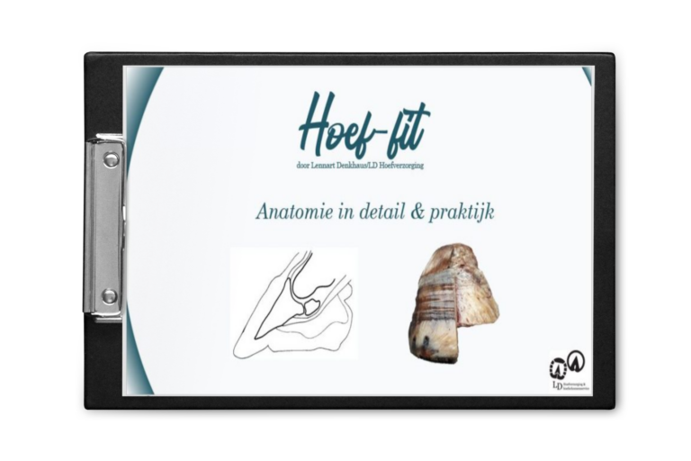 Hoeffit module 2