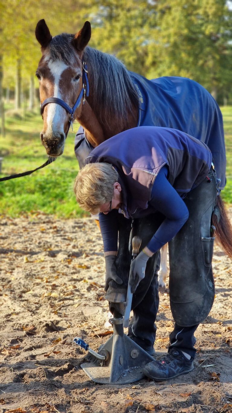 huisvesting en hoeven