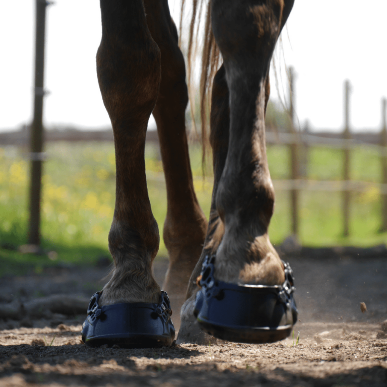 Hoefschoenen